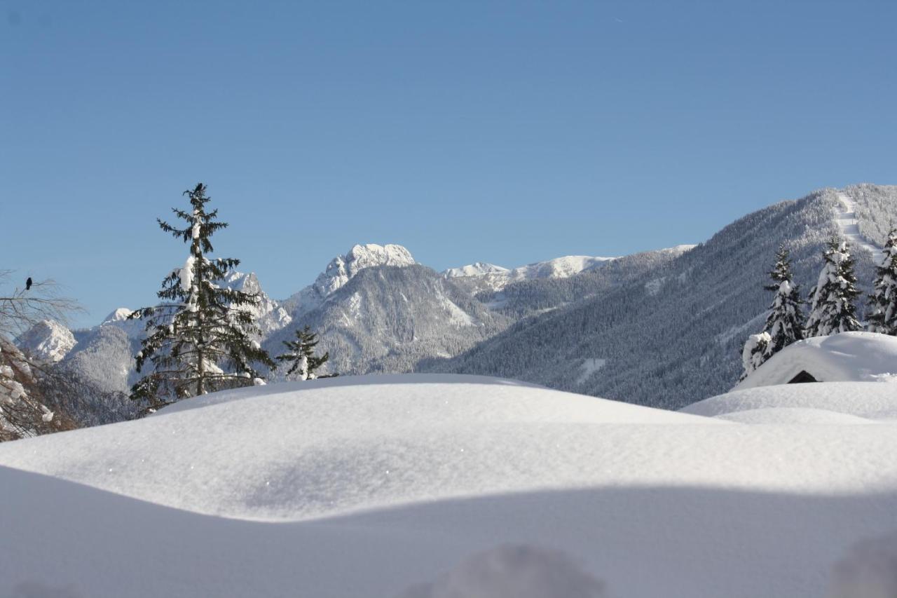 Haus Arnold - Und Homestay Sillian